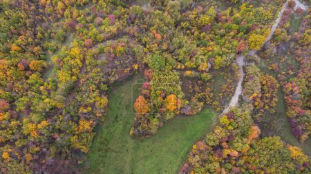 Photo for Scenic drone aerial view of autumn coloured tress forest in Vezzolacca Italy - Royalty Free Image