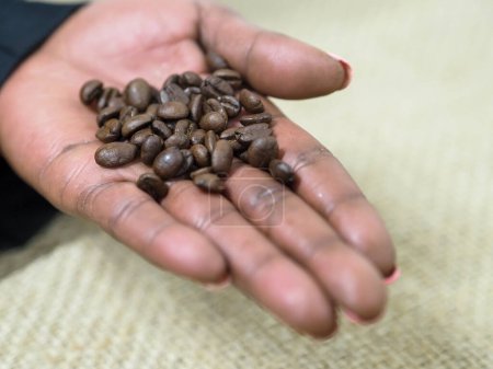 Photo for Hand of african american woman holding coffee beans macro close up - Royalty Free Image