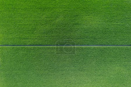 Photo for Aerial photo shot of mixed cultivated and harvested rural plain land during hot season - Royalty Free Image