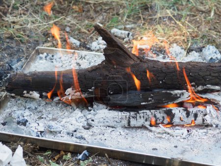 Photo for Burning wood for organic charcoal produce for grilling meat outdoors - Royalty Free Image