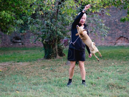 Photo for Short haired adult fit woman train and play with puppy dog jumping hight outdoors in the morning - Royalty Free Image