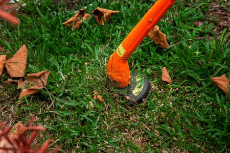 Téléchargez les photos : Tondeuse à gazon est jardinage outils d'entretien et d'équipement. Processus de tonte de pelouse avec tondeuse à main - en image libre de droit