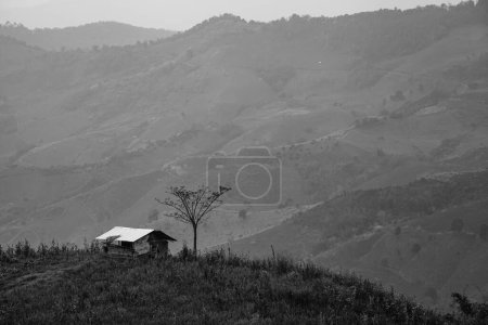 Téléchargez les photos : Maison sur la montagne, photo noir et blanc - en image libre de droit