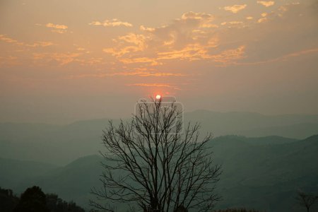Téléchargez les photos : Vue sur la montagne avec des lumières colorées et des ombres de branches pendant le beau coucher de soleil. - en image libre de droit