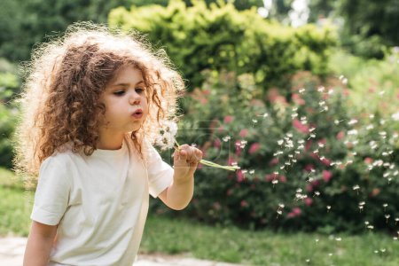 Photo for Little girl blowing on dandelion with a focused expression, surrounded by greenery in a Sunlit Garden - Royalty Free Image