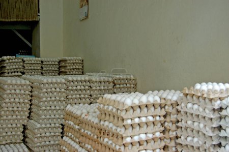Foto de Un típico almacén-tienda de venta de huevos con vistas a una calle en el centro de la ciudad de Túnez, Túnez, África - Imagen libre de derechos