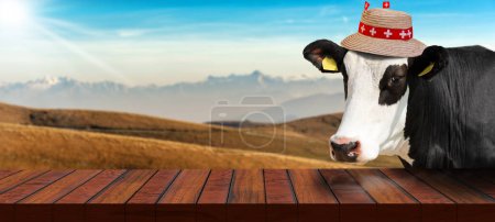 Téléchargez les photos : Gros plan d'une table en bois vide et d'une vache laitière suisse blanche et noire (génisse) regardant la caméra, sur un paysage montagneux. Modèle pour les produits laitiers. - en image libre de droit