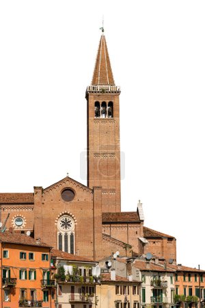 Foto de Medieval Basilica of Santa Anastasia in gothic style with the bell tower (1290-1471) , isolated on white background, Verona downtown, UNESCO world heritage site, Veneto, Italy, Europe - Imagen libre de derechos