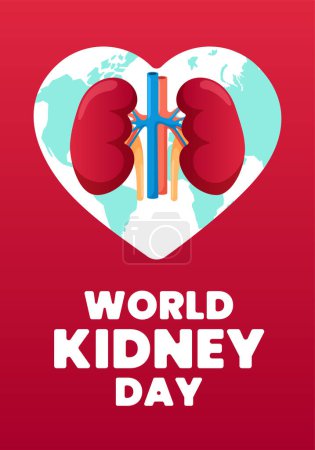 Illustration for World kidney day vertical poster. International human healthy kidneys care celebration placard. Genitourinary system internal organ holiday banner. Urology insides in heart sign on red background. Eps - Royalty Free Image