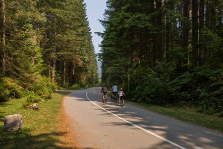 Foto de Vida activa - ciclismo. Ciclistas en la carretera en un bosque de coníferas. Camino de montaña entre bosque profundo. paseo en bicicleta con amigos - Imagen libre de derechos