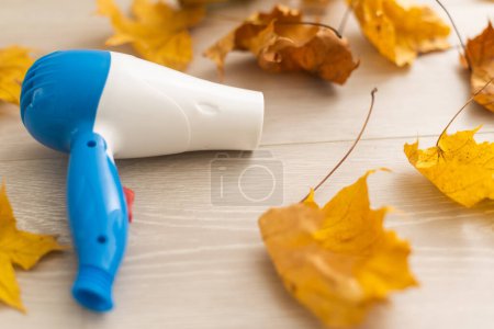 Photo for Dry autumn leaves and hair dryer. - Royalty Free Image
