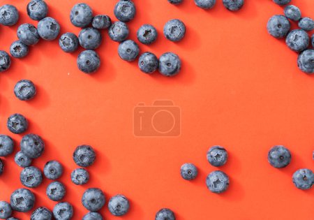 Photo for Large blueberry on a red background. - Royalty Free Image