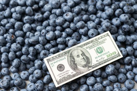 Photo for Dollar on the background of a large blueberry. - Royalty Free Image