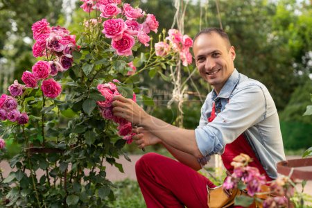 Téléchargez les photos : Le jardinier taille les roses - en image libre de droit