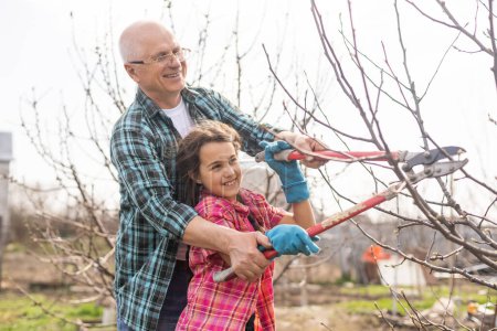 Photo for Gardening, grandfather and granddaughter in the garden pruning trees. - Royalty Free Image
