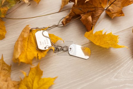 Photo for Dry autumn leaves and old dog tags. - Royalty Free Image