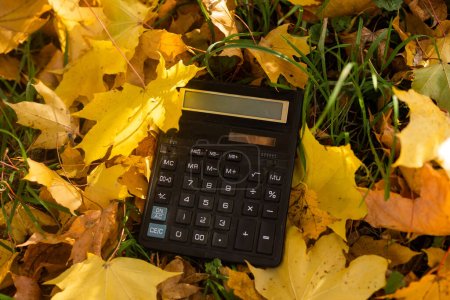 Gelbe Herbstblätter mit Taschenrechner auf einem Hintergrund.