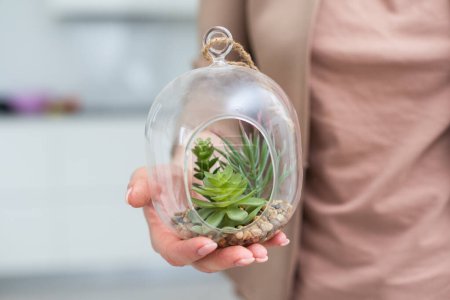 Woman holding glass jar with plant composition inside, closeup. High quality photo