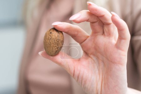 Woman hand holding walnuts, isolated on white, studio shot. High quality photo