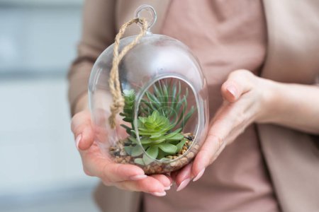 Woman holding glass jar with plant composition inside, closeup. High quality photo