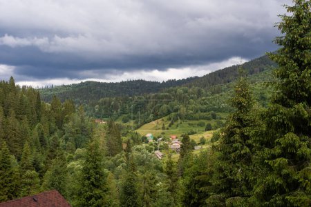 roofs of houses in the forest.