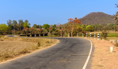 Kurvige indische Autobahn, umgeben von Wald und Hügeln.