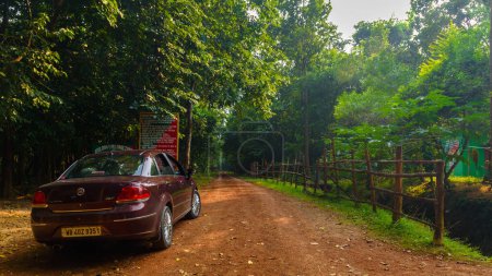 Eine rote Limousine im dichten Dschungel Indiens. 