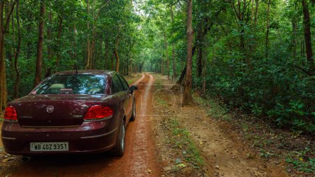 Téléchargez les photos : Une berline de couleur rouge dans la jungle dense de l'Inde. - en image libre de droit