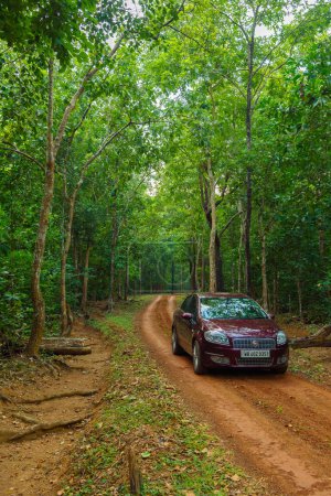 Téléchargez les photos : Une belle berline de couleur rouge dans la forêt dense de l'Inde. - en image libre de droit