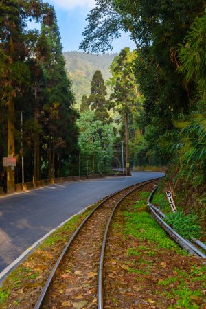 Foto de Vista vertical de la línea de ancho estrecho de 2 pies del tren Darjeeling Toy, junto con la carretera asfaltada, que corre entre Nueva Jalpaiguri y Darjeeling en el estado indio de Bengala Occidental, India. - Imagen libre de derechos