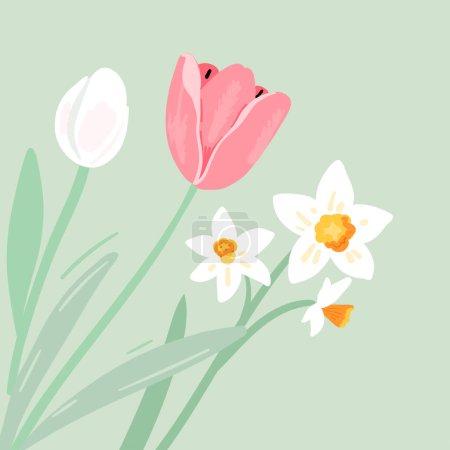 Fleurs printanières, tulipes et jonquilles sur fond bleu pastel. Illustration florale vectorielle.