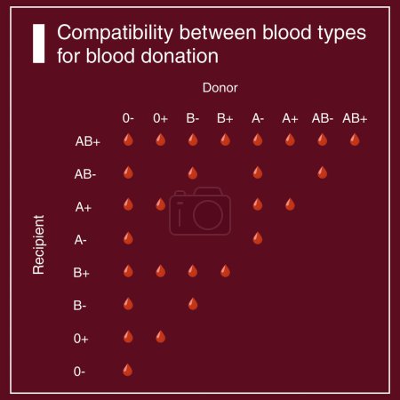 Illustration for Chart of compatibility between blood types for blood donation - Royalty Free Image