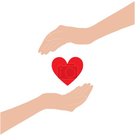 Two hands protecting a red heart on a white background with copy space