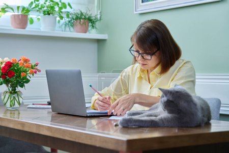 Business middle aged woman working from home, using laptop, along with pet cat. Female sitting at table with documents, sleeping cat lying next to owner. Freelance, remote work, 40s people concept