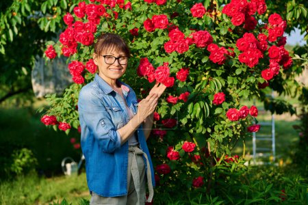 Photo for Portrait of middle-aged woman in backyard background blooming red rose bush. Smiling 45 year old female looking at camera. Beauty of nature, people concept - Royalty Free Image