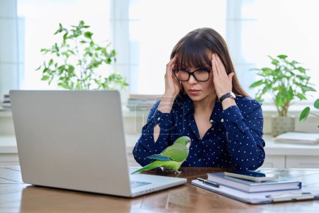 Tired sad mature woman at workplace at table with computer laptop, holding hands on temples of head. Middle age people, stress difficulty, headache health, lifestyle concept