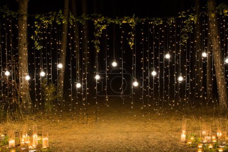 Téléchargez les photos : Soirée de cérémonie de mariage avec bougies et lampes dans la forêt de pins résineux - en image libre de droit
