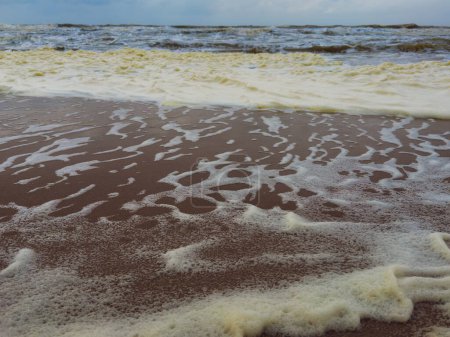 Dirty foam on the shore of a stormy sea