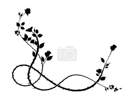 Foto de Patrón elemento esquina de una rosa con espinas tejiendo planta. imagen de desplazamiento imagen - Imagen libre de derechos