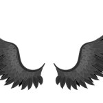 black bird wings Angel and demon.vector image stock