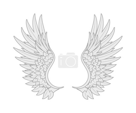Téléchargez les illustrations : Ailes d'ange blanc de nombreuses plumes beauty.vector image stock - en licence libre de droit