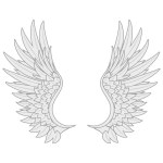 white angel wings many feathers beauty.vector image stock