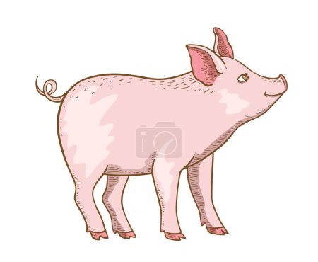 Niedliches rosafarbenes Schweinchen auf weißem Hintergrund. Handgezeichnete Vektorillustration