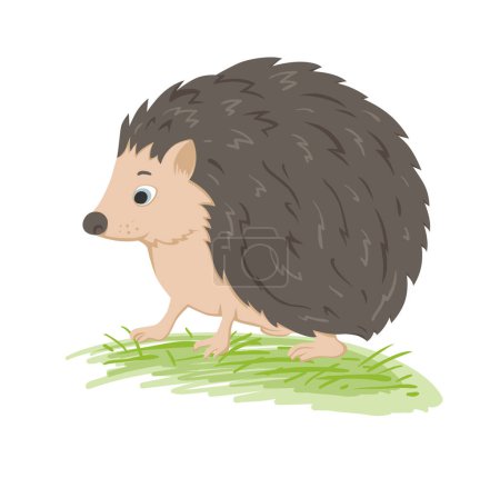 Cute vector  forest hedgehog in a green grass on a white background