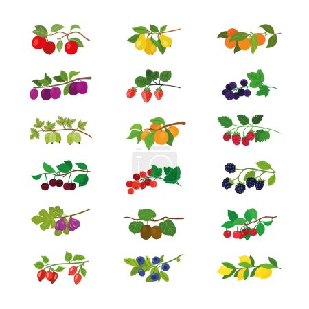 Illustration for Assorted fruits dangle from a verdant twig adorned with vibrant leaves. - Royalty Free Image