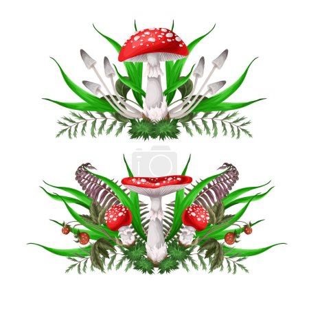 Ilustración de Composiciones con agáricos de mosca, setas y plantas aisladas. Vector - Imagen libre de derechos