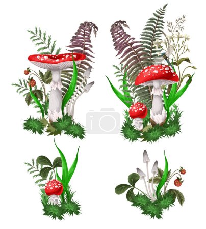 Ilustración de Composiciones con agáricos de mosca, setas y plantas aisladas. Vector - Imagen libre de derechos