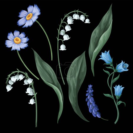 Lilies of the valley and other flowers isolated. Vector