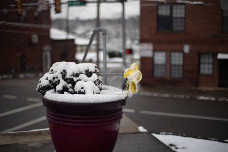 Téléchargez les photos : Johnson City, Tennessee, États-Unis 2022-01-03 Watauga Square Appartements : Conteneur végétal couvert de neige. - en image libre de droit