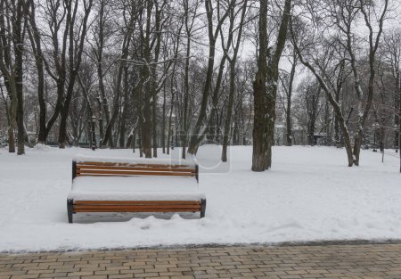 Bench in winter in Mariinsky Park in Kiev